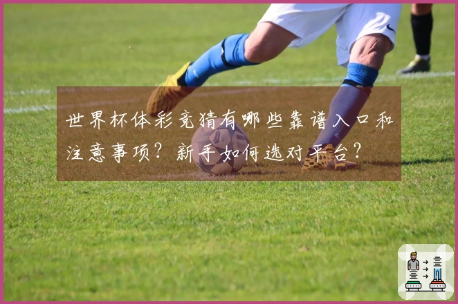 世界杯体彩竞猜有哪些靠谱入口和注意事项？新手如何选对平台？