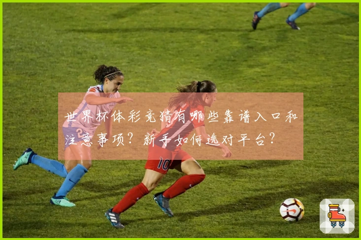 世界杯体彩竞猜有哪些靠谱入口和注意事项?新手如何选对平台?