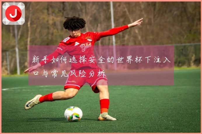 新手如何选择安全的世界杯下注入口与常见风险分析