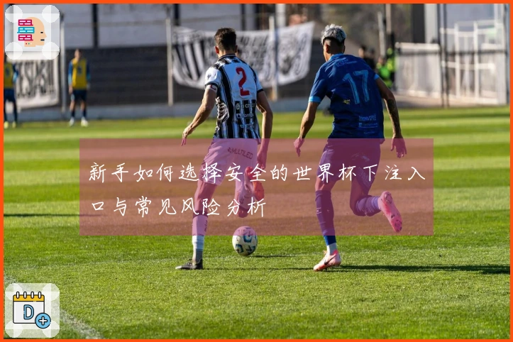 新手如何选择安全的世界杯下注入口与常见风险分析